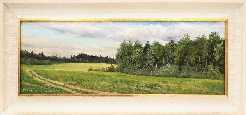 Борисов Николай Андреевич. Подмосковье 12 июля 1990 года